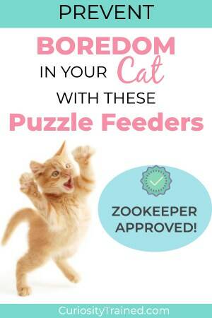 Food Puzzles for Cats: Good for Mind and Body! – Feline Behavior Solutions  - Cat Behavior Consultant