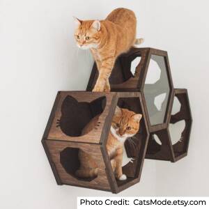 https://www.curiositytrained.com/wp-content/uploads/2020/06/Cat-hexagonal-wall-shelf-CatsMode-300x300-1.jpg