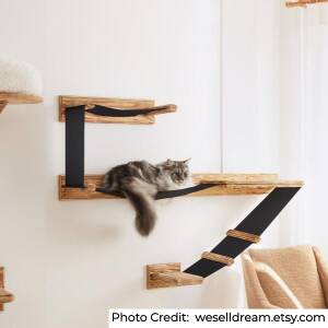 17 Best Cat Shelves and Wall Perches That Are Purrfect