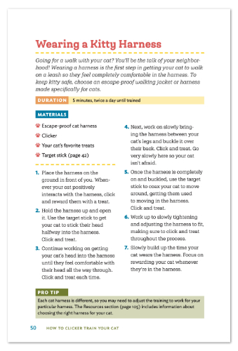 clicker training steps for training cat to wear a harness